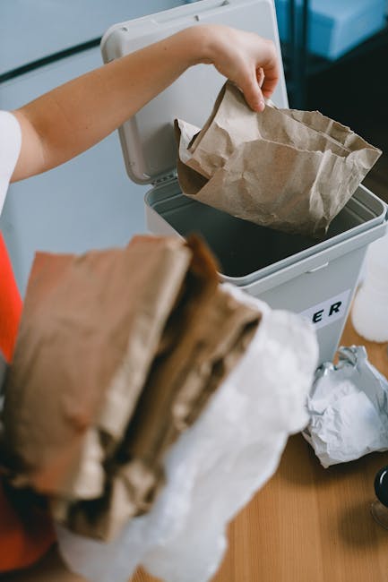 https://wastedisposalstreatham.co.uk/blog/what-to-expect-from-rubbish-collection-near-streatham-common/